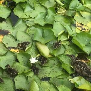 Meet your Posher, Nadia